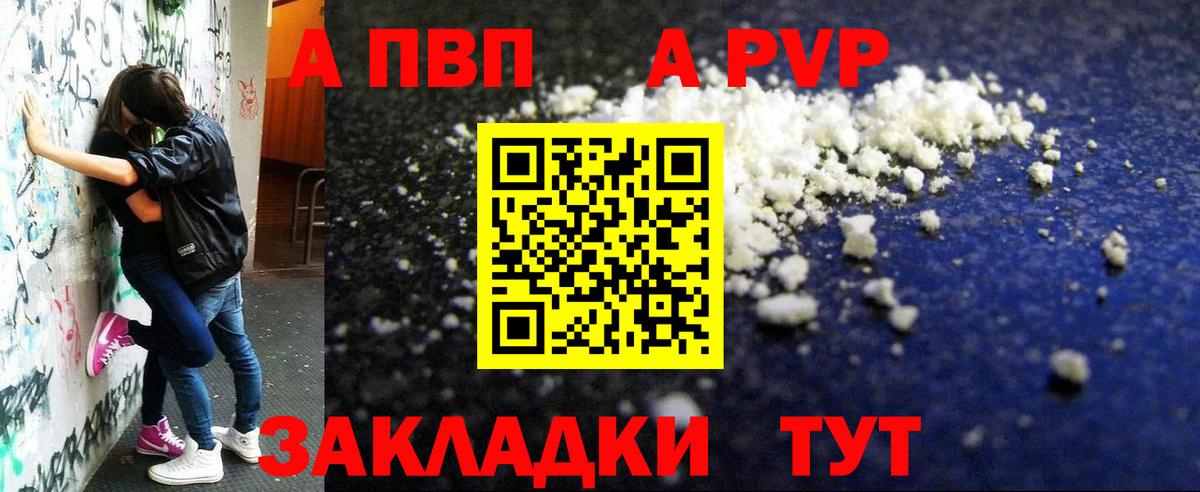 A PVP СК Новочеркасск