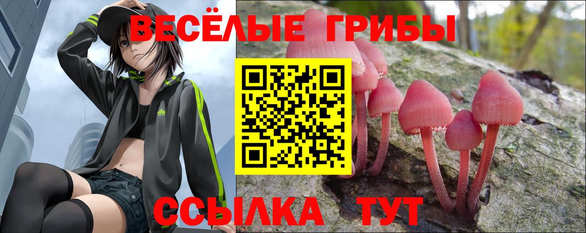 Псилоцибиновые грибы MAGIC MUSHROOMS  Вход с VPN  Новочеркасск 